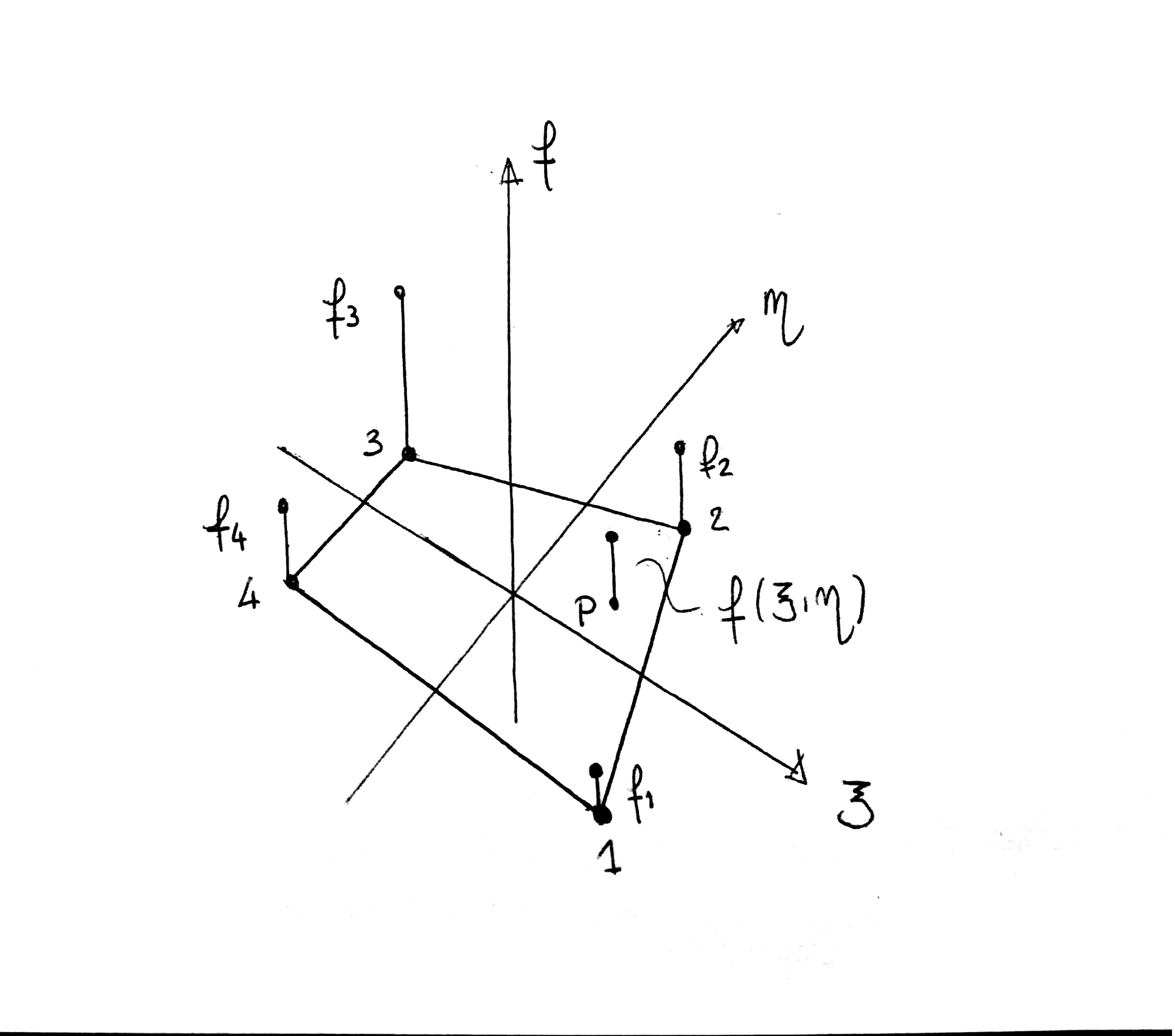 immagine7.jpg
